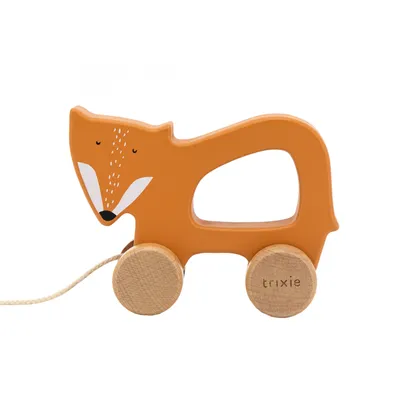 Produktbild von Trixie Baby 36-200, 18 Monat( e), 4 Rad/Räder, Orange, Holz