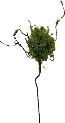Produktbild von Zweig mit Vogelnest Kunstpflanze Flora