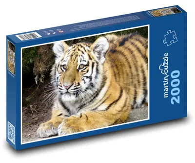 Obrázok produktu pre martinpuzzle - Puzzle 2000 - Tiger - mláda