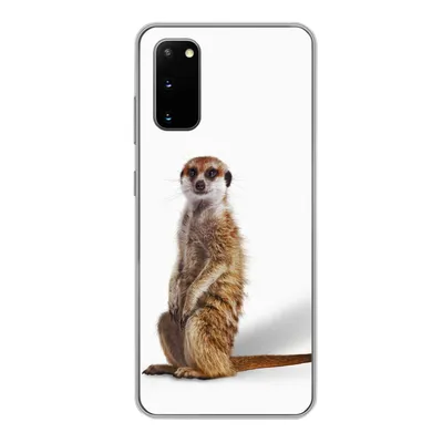 Produktbild von MuchoWow® Handyhülle Schutzhülle Hülle für Samsung Galaxy S20 Erdmännchen - Tiere - Fell Silikon Softcase Handy Hülle - Bild