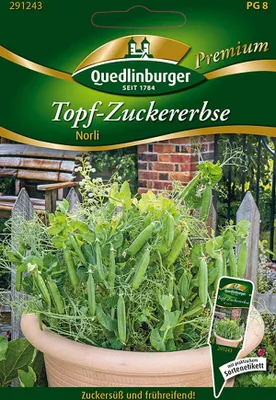 Produktbild von Quedlinburger Saatgut - Topf-Zucker-Erbsen Norli - Samen - 291243