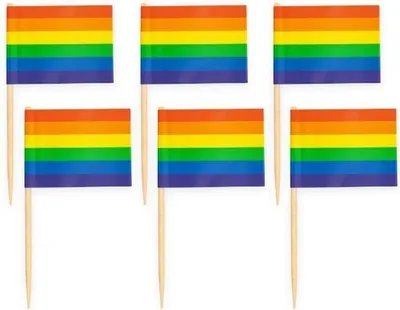 Produktbild von 50 Flaggen Deko Picker Regenbogen Pride LGBTQ