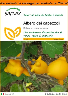 Immagine prodotto di SAFLAX Garden in the bag - Albero dei capezzoli - 10 semi - Solanum
