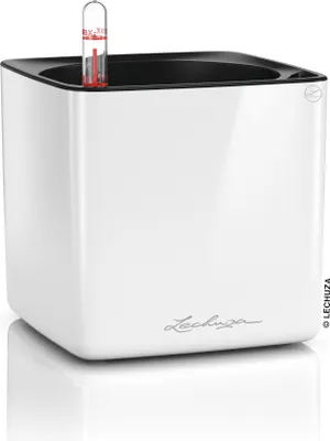 Produktbild von LECHUZA-Tischgefäß CUBE Premium 14 Weiß Highgloss | Pflanzgefäß mit Bewässerung, Pflanzeinsatz | Hochglanz-Oberfläche | 14 x 14 x 13,5 cm | 13510