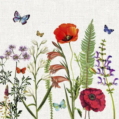 Produktbild von 20 Servietten Meadow in Bloom - Aufblühende Wiese 33x33cm