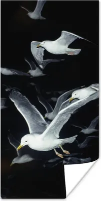 Produktbild von MuchoWow® Poster Vogel - Schwarz - Schwarm 60x120 cm - Wandschmuck