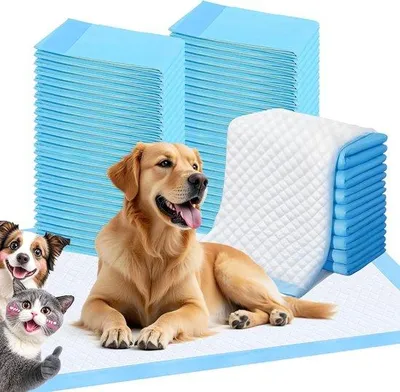 Produktbild von Wasserabweisendes Trainingskissen für Hunde und Welpen, blau, 40er Pack, 60x60cm