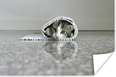 Produktbild von MuchoWow® Poster Katze - Teppich - Boden 30x20 cm - Plakate - Print