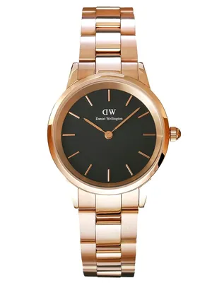 Obrázok produktu pre Dámske hodinky Daniel Wellington DW00100212 – Iconic Link (zx706b)