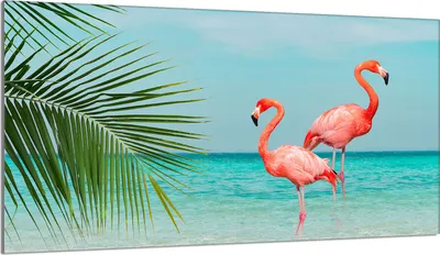 Produktbild von Glas-Herdplattenschutz 90x52 Flamingo