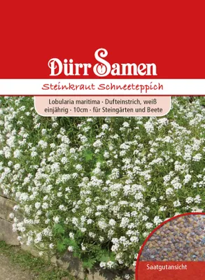 Produktbild von Steinkraut Schneeteppich | Steinkrautsamen von Dürr Samen