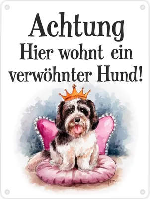 Produktbild von Achtung - verwöhnter Hund Metallschild in 15x20 cm