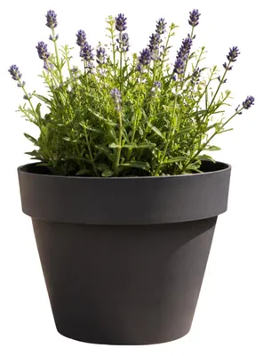 Productafbeelding van Poëtische plantenpot ROMEO, rond, diameter: 170 mm, grijs-zwart