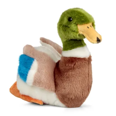 A plush toy duck is shown against a white background.