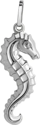 Produktbild von V Anhänger 925/- Sterling Silber 2,9cm weiß 371240701R