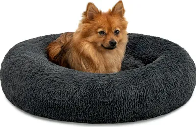 A small, fluffy dog is resting in a round, dark gray dog bed.