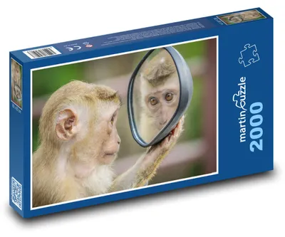 Obrázok produktu pre martinpuzzle - Puzzle 2000 - Opice a zrkadlo