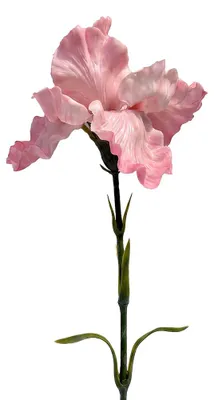 Immagine prodotto di Clayre & Eef, fiore artificiale rosa, plastica