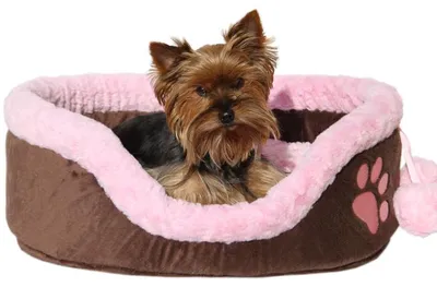 Produktbild von Hundebett Hundekorb oval 62x44 cm für mittelgroße Hunde