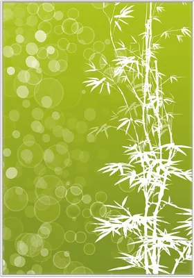 Produktbild von Wallario Wandbild Bambusmuster grün-weiß, Größe: 70,30 x 100,30 cm, Poster mit weißem Kunststoffrahmen