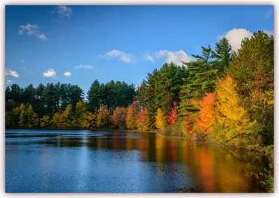 Produktbild von XXL Poster 100 x 70cm (S-810) Großer Waldsee mit umstehenden herbstgezeichneten Bäumen (Lieferung gerollt!)