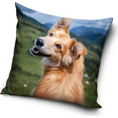 Image de Taie d'oreiller Chien dans les montagnes