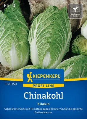 Produktbild von Kiepenkerl Chinakohlsamen Kilakin F1 Brassica rapa pekinensis 20 Pflanzen