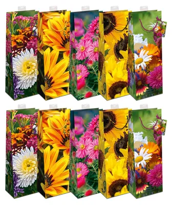 Produktbild von Geschenktaschen für Flaschen 10 Stück Flaschentüten edle Geschenktüten für Wein Sekt Champagner Geschenkbeutel mit farbiger Kordel und Namenskarte