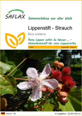 Produktbild von SAFLAX - Lippenstift - Strauch - Bixa orellena - 20 Samen