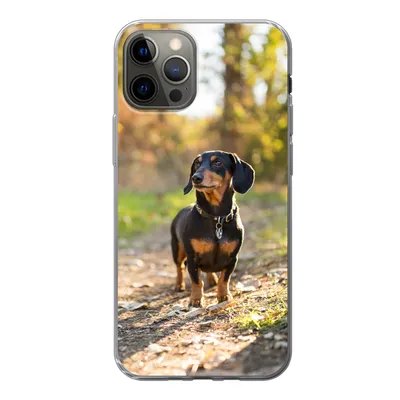 Produktbild von MuchoWow® Handyhülle Schutzhülle Hülle für iPhone 13 Pro Ein schöner Dackel im Wald Silikon Softcase Handy Hülle - Handy-Tasche