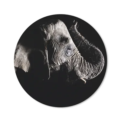 Produktbild von MuchoWow® Mauspad Mousepad Elefant - Schwarz - Tiere - Natur 20x20 cm - Mousepads - Maus Mat - Pad - Mausunterlage - Schreibtischmatte