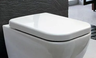 Produktbild von BERNSTEIN WC-Sitz aus Duroplast mit Soft-Close für Wand-Hänge-WC CH101 und 101R – Weiß, Bruchsicher