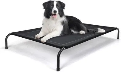 Produktbild von Famanu Hundebett Erhöht - Kühlend und Atmungsaktiv für Innen und Außen, Waschbar, Schwarz, Groß