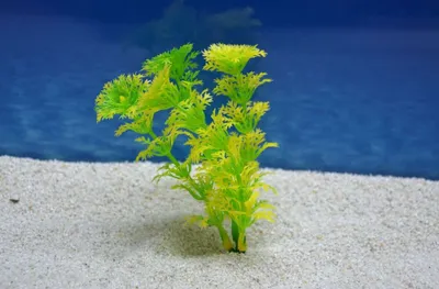 Produktbild von Amtra Cabomba S 12cm künstliche Pflanze Dekoration Aquarium
