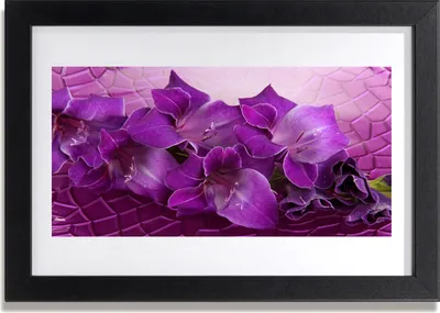 Produktbild von Bild 30x20 MDF-Rahmen Wandkunst Blumen Pflanzen Natur