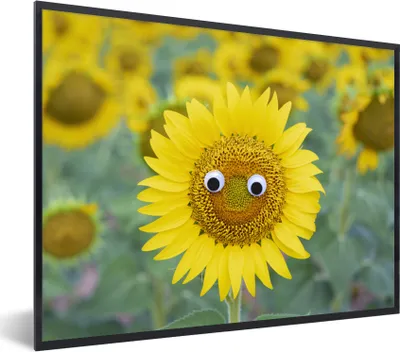 Produktbild von MuchoWow® MuchoWow® Gerahmtes Poster Sonnenblume mit komischem Gesicht 80x60 cm - Poster mit zchwarzem Bilderrahmen - Schwarzem - Mit Gestell