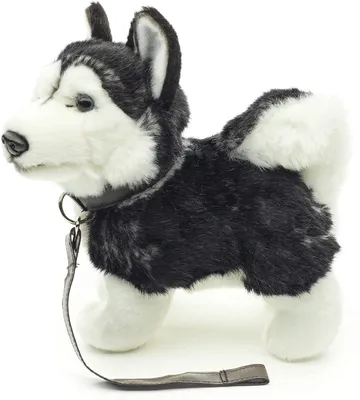 Produktbild von Uni-Toys - Husky Welpe schwarz, stehend (mit Leine) - 21 cm (Länge) - Plüsch-Hund - Plüschtier, Kuscheltier