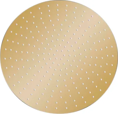 Obrázok produktu pre vidaXL Dážďová sprcha z nehrdzavejúcej ocele 50 cm okrúhla zlatá