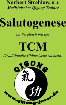 Produktbild von Salutogenese im Vergleich mit der TCM (Traditionelle Chinesische Medizin)