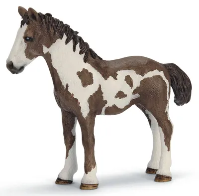 Produktbild von Schleich Pinto Jährling Farm Life, Braun, Weiß, Beide Geschlechter, 11 cm, 3,5 cm, 9,5 cm, 1 Stück