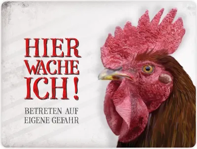Produktbild von Metallschild XL mit Hahn Motiv und Spruch: Betreten auf eigene Gefahr ...