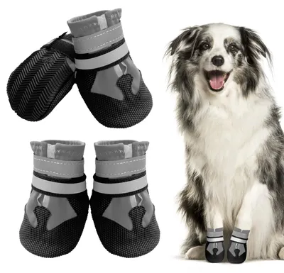 Produktbild von Solidchoice – Wasserdichte und rutschfeste Hundeschuhe für alle Größen