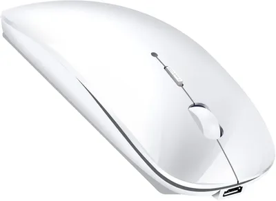 Produktbild von Leises Klicken und einstellbare Schnellreaktionsfunktion mit Tragbare schlanke, leise Büromäuse mit USB-C-Adapter 2,4 GHz Kabellos
