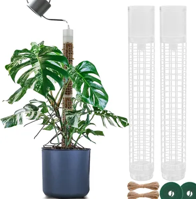 Imagen del producto de Soporte para plantas de plástico, tipo varilla de musgo, 2 unidades, de 44 cm de longitud, extensible hasta 80 cm, ideal para plantas trepadoras