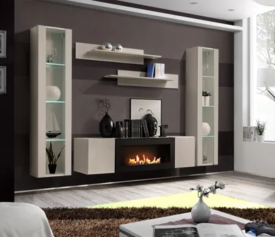 A modern living room with a wall unit featuring a bio ethanol fireplace, shelves, and display cabinets.