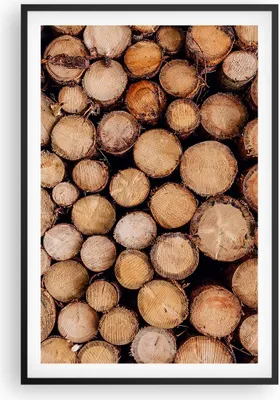 Produktbild von Gerahmtes Poster - Schwarzer Rahmen - Holz Baumstämme Stämme - 61x91,5 cm - Wand Bild - Wanddeko - Wandbilder - Kunstposter - Wandposter - Bilderrahmen - Bilder - Kunstdruck - P2BPA61x91-4864