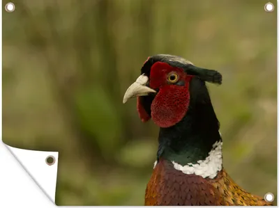 Produktbild von MuchoWow®