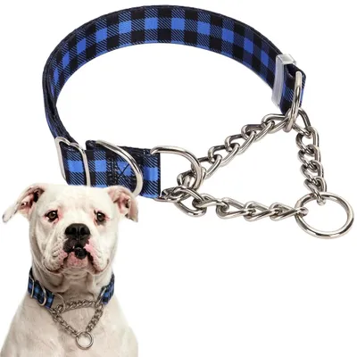 Produktbild von Hundehalsband mit Kette – Verstellbar, geeignet für große Hunde