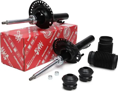 Obrázek produktu pro MS 16K004233 Tlumič přední nápravy pro RENAULT MEGANE II kombi (KM0/1_)