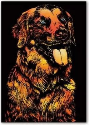 Immagine prodotto di Gratta e vinci magico Happy Dog 40x28 cm